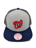 Mitchell & Ness Nationals embroidered baseball cap